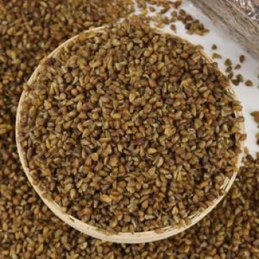 云南大理洱源縣苦蕎麥 優(yōu)質(zhì)初級(jí)農(nóng)產(chǎn)品批發(fā)指南