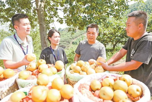 廣安“三端協(xié)同”發(fā)力，讓“廣字號”初級農(nóng)產(chǎn)品走向廣闊市場