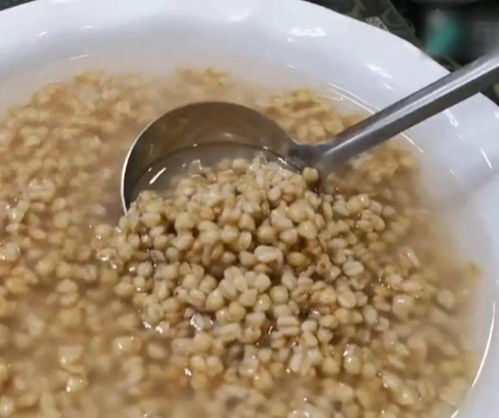 渦陽麥仁酵兒 那一口，真滋潤