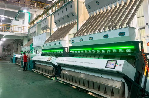 筑牢安全根基 農(nóng)產(chǎn)品加工企業(yè)掀起初級產(chǎn)品綠色管理新浪潮